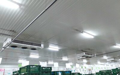Instalación con central frigorífica booster de CO2 transcrítico